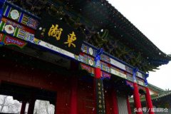 宝鸡古树与名人——游苏轼东湖 赏名人所栽东湖柳