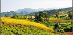 中国普罗旺斯 夏日蓝田鲍旗寨美景正当时