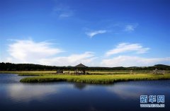 塞罕坝美景醉游人