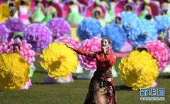 甘南藏区：盛夏草原上的“香巴拉”