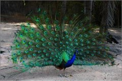 远离喧嚣 到保山追寻一片“绿水青山”