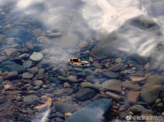 泾川三百里 佳境千万曲