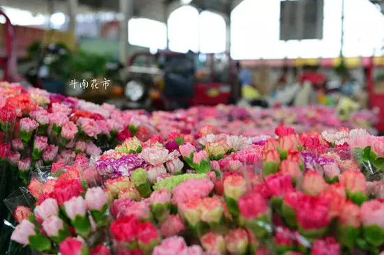 斗南花卉