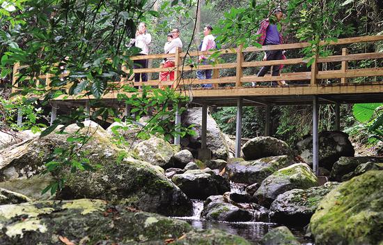 五指山水满乡木栈道吸引了众多游客。 建强 摄
