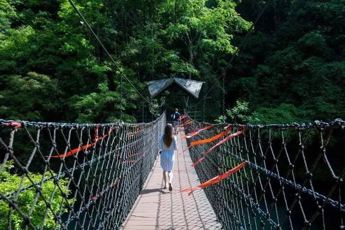 醉山野的特色——桥