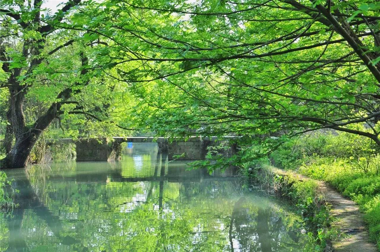 水光山色