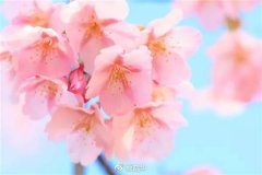 距东京不到1小时，这座日本最美の半岛曾让川端康成着迷