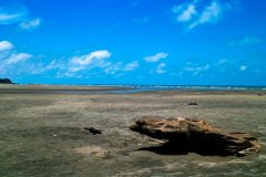 初夏热浪来袭 奔往广西小众海洋天堂撒野