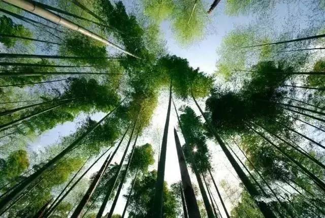 水墨汀溪