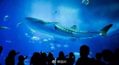 四月日本好去处：冲绳的海滩阳光等你很久了！