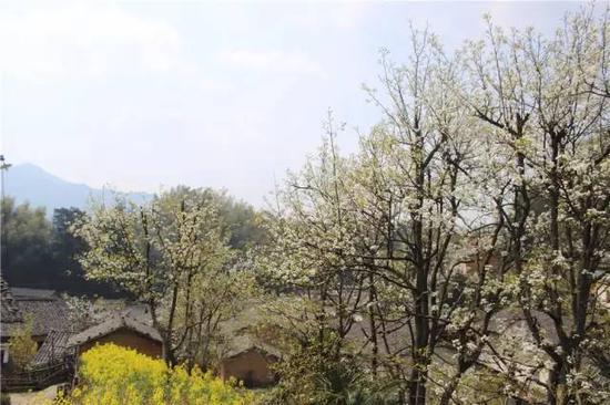 ▲长虹乡高田坑自然村