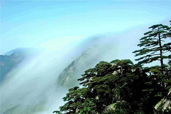 白马尖云雾飘渺(图源:@安徽省旅游局)