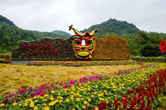 百里杜鹃