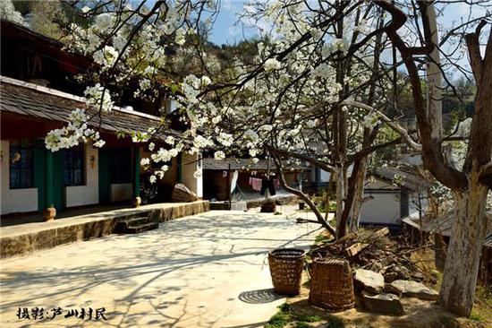 无量山黄草岭(摄影:芦山村民)