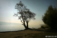 清早游大理洱海边最美公园——喜洲海舌