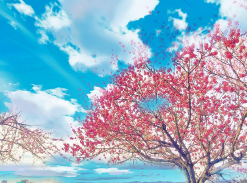 浪漫桃花(图源:@三河古镇旅游官博)