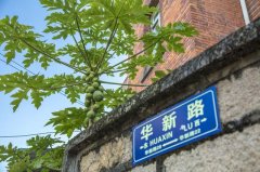 避开鼓浪屿，这里是厦门最后的文艺地标