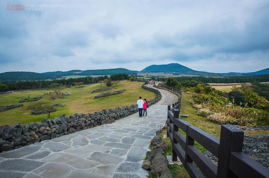韩国唯一的平地火山口,漫山遍野的芒花风中摇
