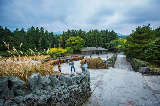 韩国唯一的平地火山口,漫山遍野的芒花风中摇