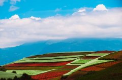 云南东川红土地，上帝打翻了调色盘