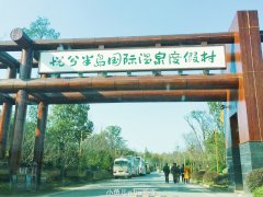 温泉藕汤和咖啡 带你打开不一样的大洪湖