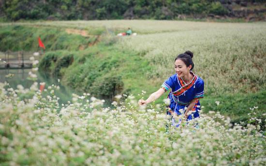 新浪博主:@dinhoidinh