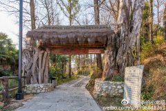 凤阳邑|大理仅存茶马古道上的石头村落