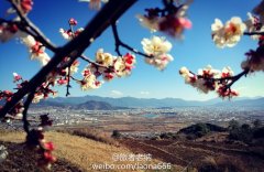 远去的丽江，远去的古城，回来吧……