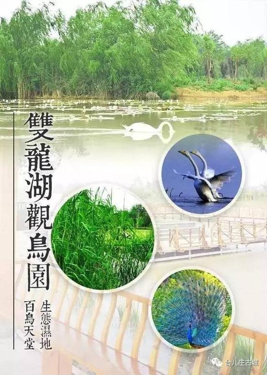双龙湖观鸟园离古城西门并不远,如果不开车,西门有直接去双龙湖的观光车可以搭乘。