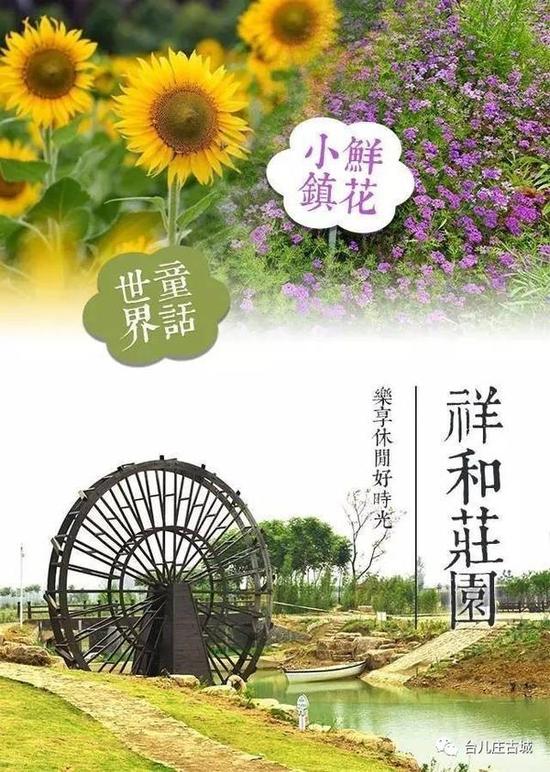 这里是鲜花小镇!