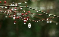 跟着节气游安徽——雨水