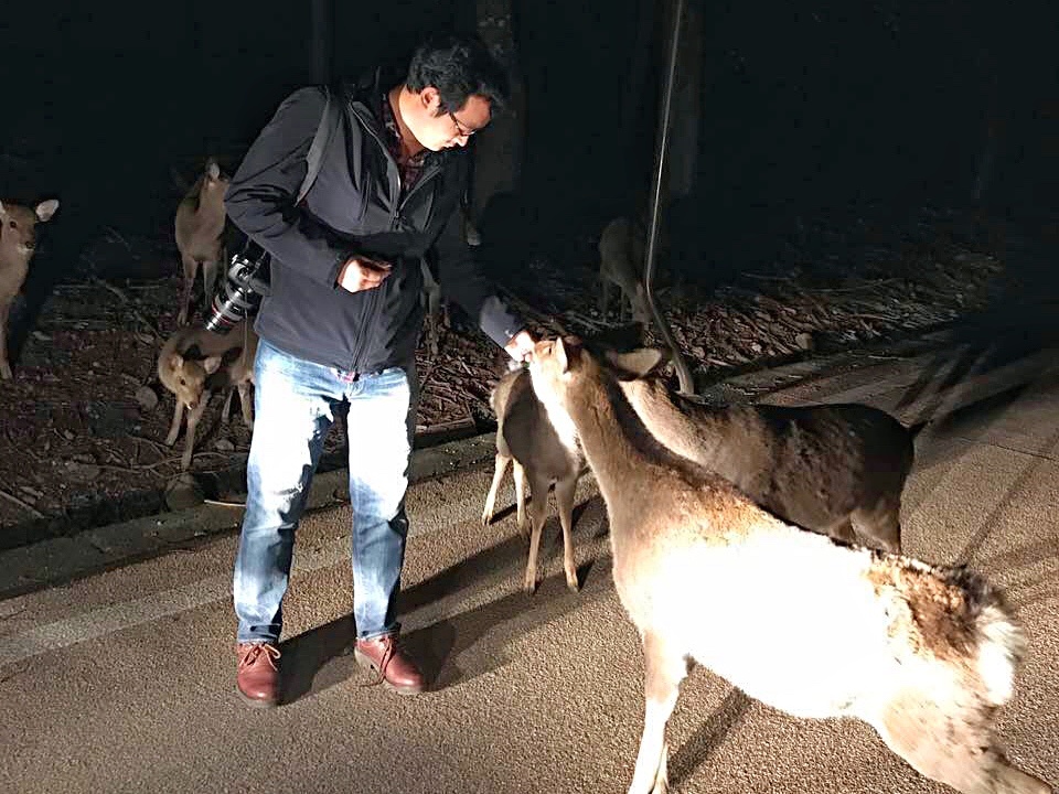 大阪的大学同学晚上开车带我去奈良，正好兜里有饼干，于是都喂鹿了我也没吃。。