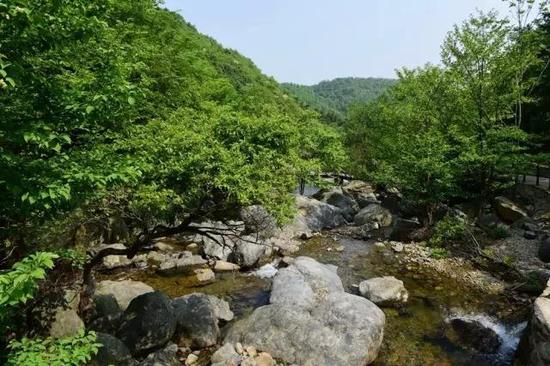 龙津溪地