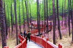 忘掉丽江九寨沟吧 这才是值得去的地方
