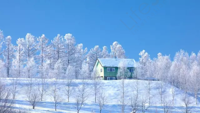 北海道美瑛町