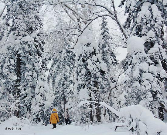有一种雪,叫只有去过雪乡才懂得 有一种雪,叫只有去过雪乡才懂得
