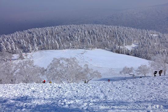 有一种雪,叫只有去过雪乡才懂得 有一种雪,叫只有去过雪乡才懂得