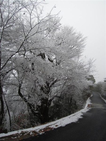 猫儿山雪景 图:新浪博主/木木零