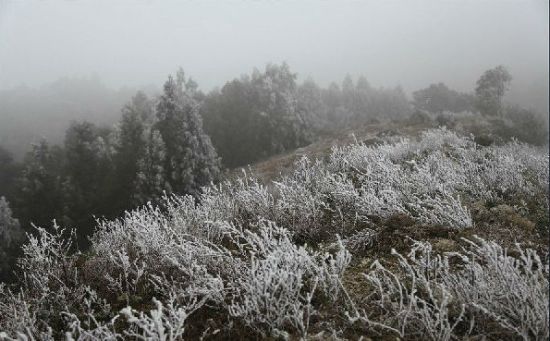 大容山雪景 图:新浪博主/刘国雄