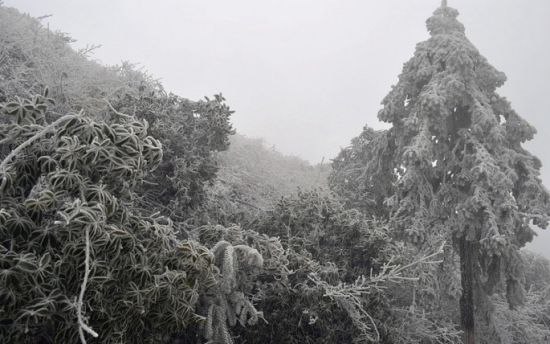 资源雪景 图:新浪博主/诸葛很亮