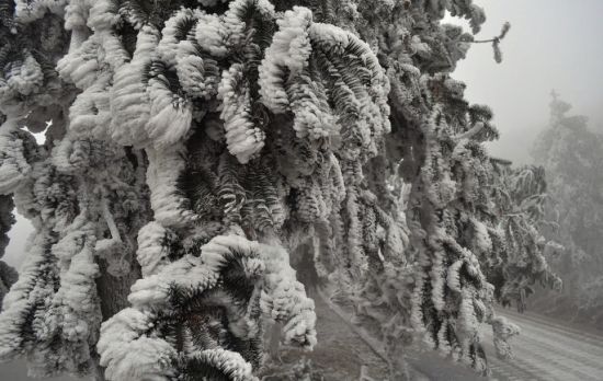 资源雪景 图:新浪博主/诸葛很亮