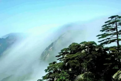 大别山白马尖 寻1777的野趣