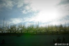 马鞍山梨花节“官彩”接地气