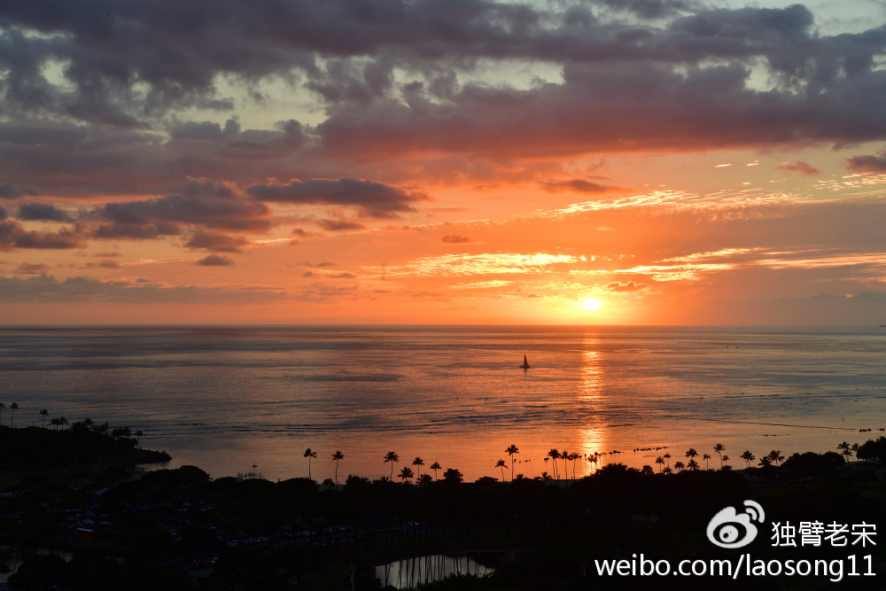 我窗外的风景。
