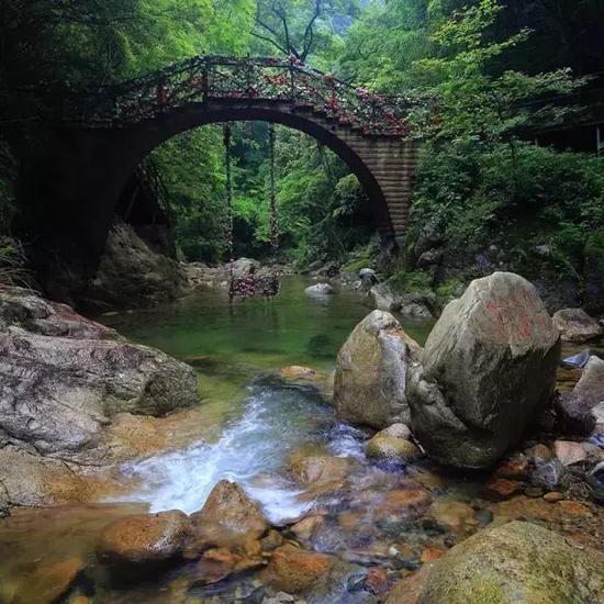 摄影:李成国