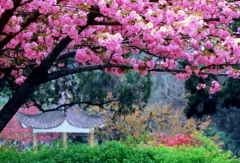 安徽这些风景绝胜地 你一定要去