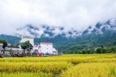 石台库山村 稻花香里说丰年