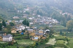 皖南五陵秋景如画 梯田徽菊山村人家