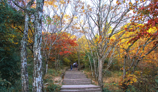 摄影：@村里人yf