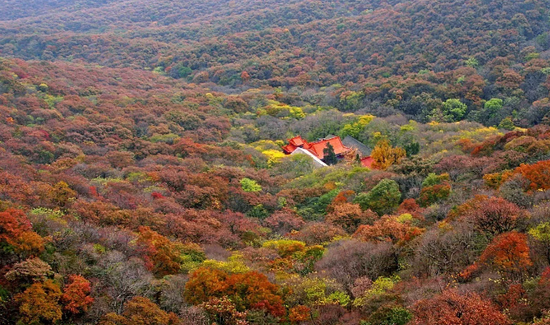 图：宿州市旅游局
